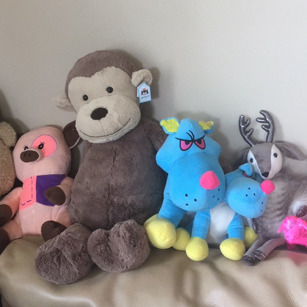 Toy